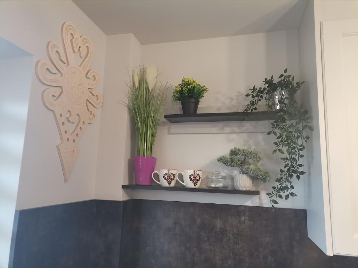 Apartament Gorska Szarotka نوفه تارخ المظهر الخارجي الصورة