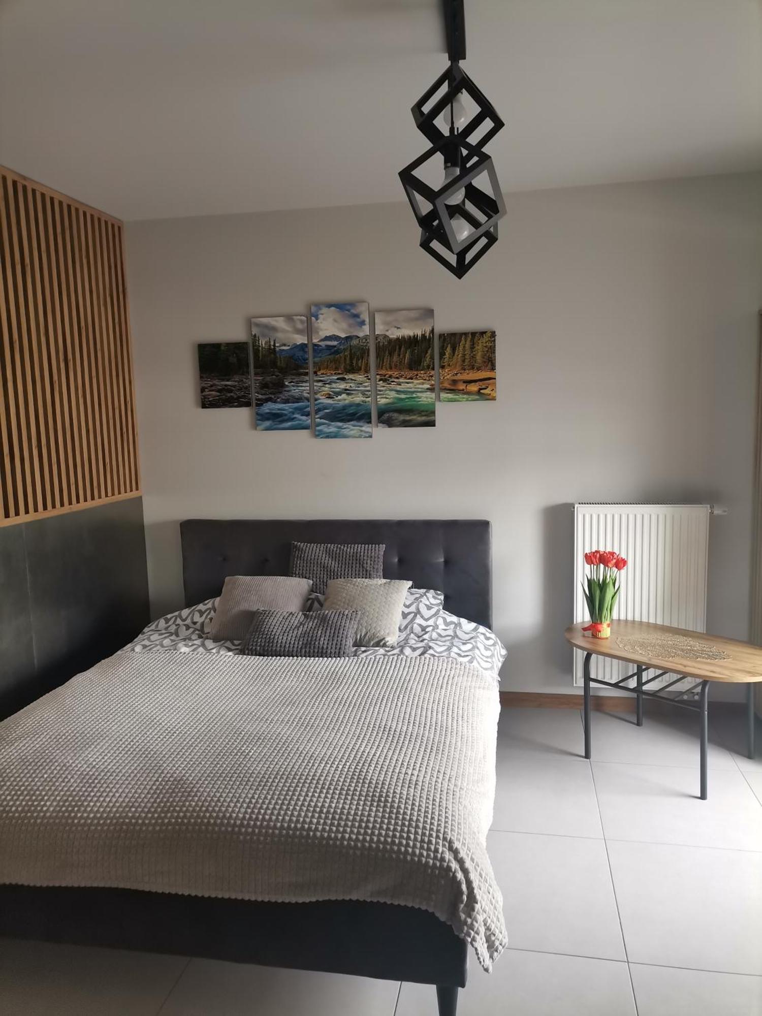 Apartament Gorska Szarotka نوفه تارخ المظهر الخارجي الصورة